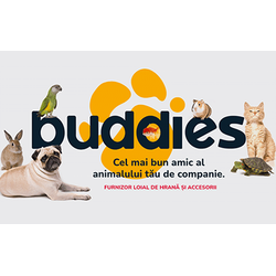 Buddies.ro