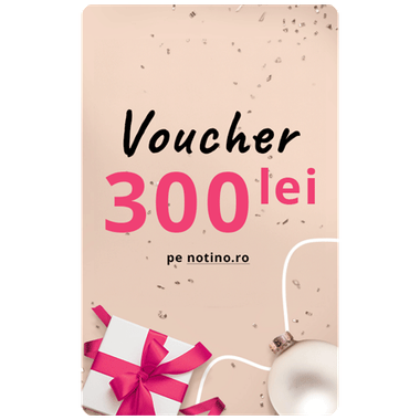 Cum a fost anul 2023 pentru români?