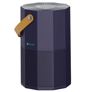 Alegerile Prezidențiale 2025