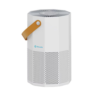 Cum asigură românii confortul termic în locuințele lor?