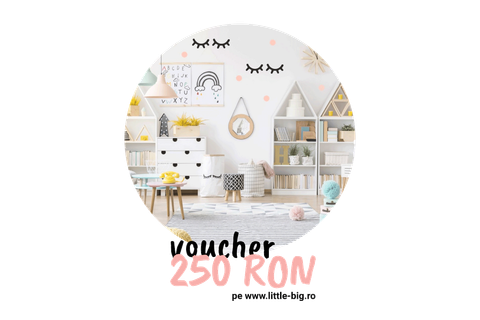 Voucher 250 RON pe little-BIG.ro